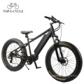 750W fat tire ebike 26inch electric bike e bicycle